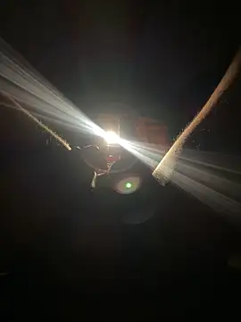 FastFucky online show from April 2026 08:50:01 PM
