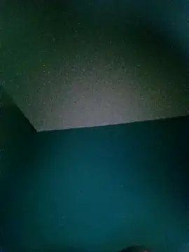 tomeksex1x online show from April 2026 12:38:02 AM