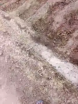 xmanraavan online show from March 2026 01:38:01 AM