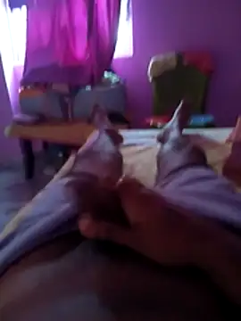 tappu0991 online show from April 2026 12:52:01 AM