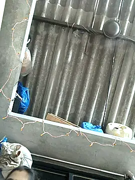 Palaksingh143 online show from July 2026 06:23:01 PM
