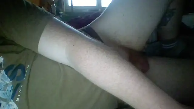 Pallmees online show from June 2026 12:17:01 PM