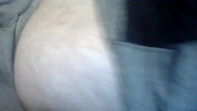 TBFL0204 online show from July 2026 06:12:01 AM