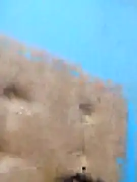 rochylinda online show from April 2026 03:31:02 AM