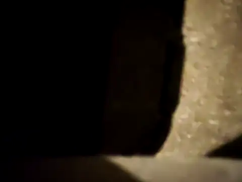 BWC14000 online show from April 2026 06:25:02 AM