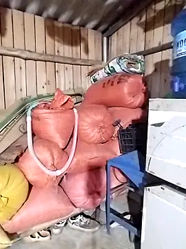 chaubau1 online show from April 2026 11:59:01 AM