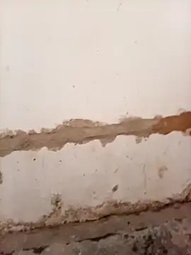 Nkazimulz online show from April 2026 01:27:01 PM