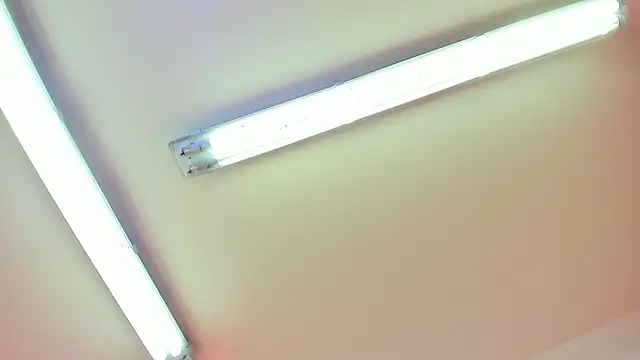 Draco blaze online show from May 2026 12:54:02 PM