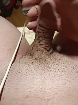 wankdick online show from June 2026 03:53:02 AM