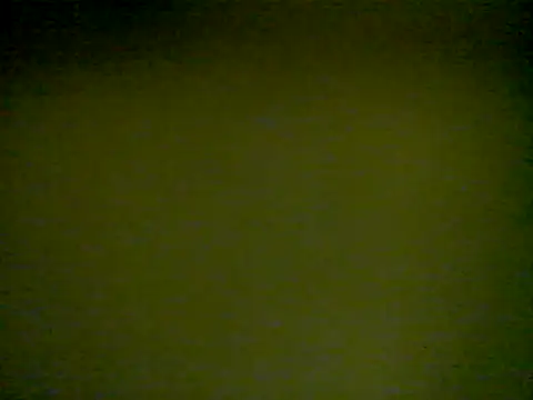 Snapshot of LunjeSA chatting on June 2026 08:31:02 AM LunjeSA online show from June 2026 08:31:02 AM