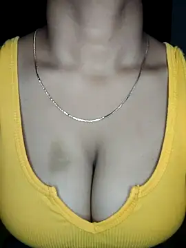 Snapshot of sapna_S2 chatting on July 2026 04:17:02 AM sapna S2 online show from July 2026 04:17:02 AM