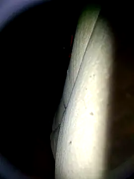 Harkorti online show from April 2026 04:48:01 AM