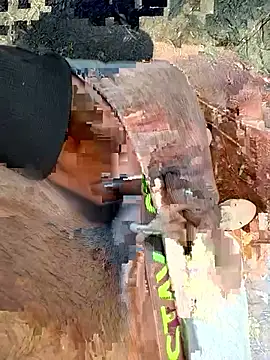 Wolf 18cm online show from April 2026 02:22:02 PM