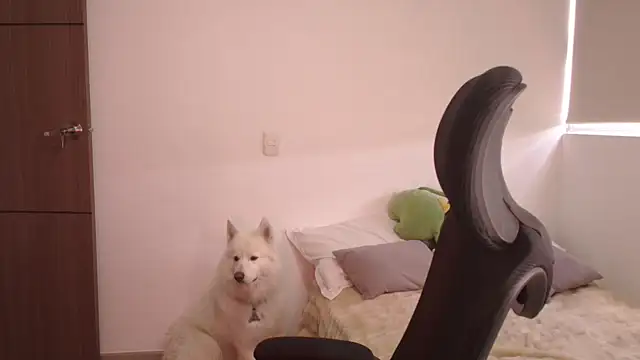 Snapshot of abbyyandmaxx chatting on June 2026 03:55:02 PM abbyyandmaxx online show from June 2026 03:55:02 PM