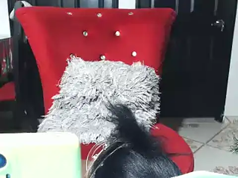 jannyheat online show from January 2025 04:57:02 PM