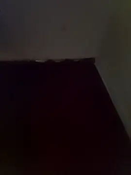 AndresvargasQ123 online show from May 2026 05:14:01 AM