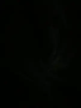 tokuda-qq online show from May 2026 10:43:01 AM