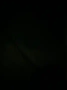 Snapshot of slutytransgal chatting on May 2026 02:08:02 AM slutytransgal online show from May 2026 02:08:02 AM