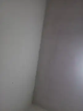 wbrankinha online show from June 2026 02:33:01 PM