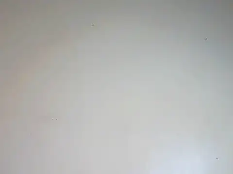 Snapshot of Sexydoll36 chatting on August 2026 10:10:01 AM Sexydoll36 online show from August 2026 10:10:01 AM