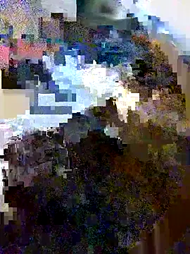 Snapshot of LonesomeMegawatt chatting on May 2026 10:00:01 AM LonesomeMegawatt online show from May 2026 10:00:01 AM