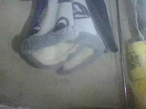 Snapshot of prettybelly chatting on May 2026 03:35:01 AM prettybelly online show from May 2026 03:35:01 AM