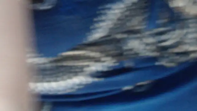 Snapshot of MaevenNectar chatting on May 2026 05:13:01 AM MaevenNectar online show from May 2026 05:13:01 AM