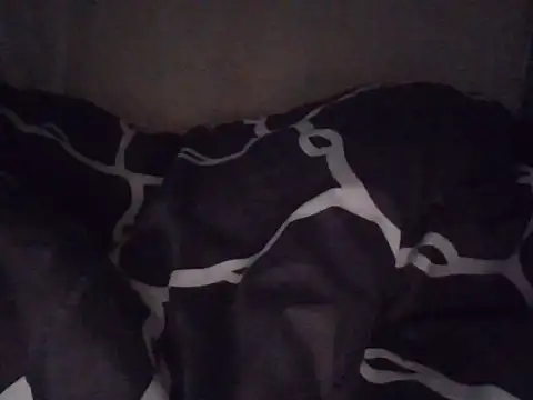 fatpusy002 online show from June 2026 03:44:01 AM