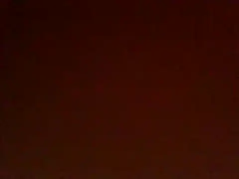 Sleek petite online show from July 2026 03:26:02 PM