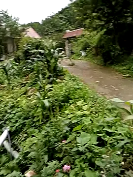 Elfledaa online show from June 2026 09:56:01 AM