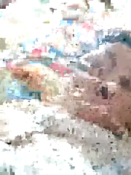 Orio-baby online show from May 2026 08:10:02 PM