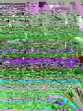 SashaMoo online show from July 2026 11:07:02 PM