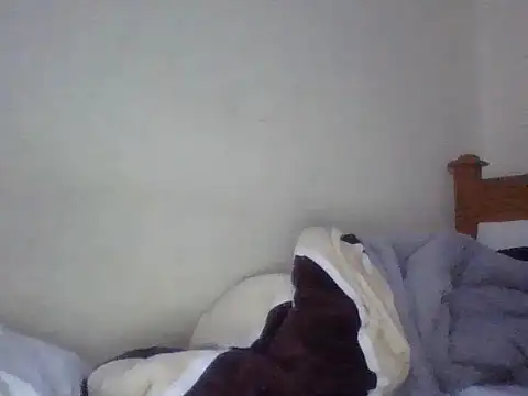 Dina Nina online show from August 2026 10:12:02 PM