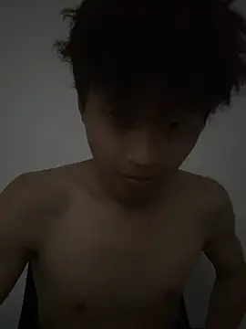 Snapshot of wsy-12345 chatting on July 2026 08:33:01 AM wsy-12345 online show from July 2026 08:33:01 AM