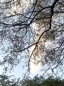 Snapshot of Teluguammai_123 chatting on July 2026 01:02:01 PM Teluguammai 123 online show from July 2026 01:02:01 PM