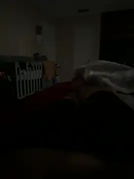 UptightDance online show from August 2026 01:13:01 PM