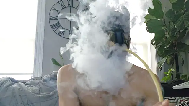 bestofdoseswirls online show from April 2026 10:03:01 PM