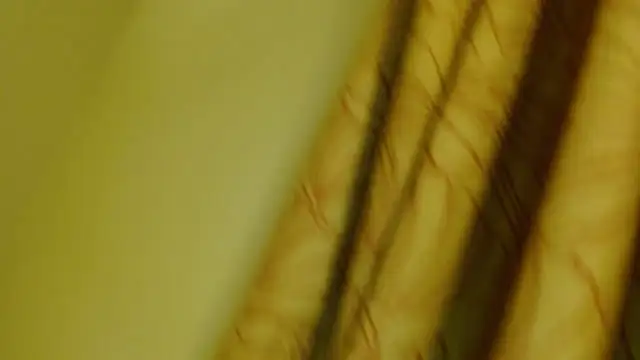 Snapshot of digbicku chatting on October 2025 05:17:02 AM digbicku online show from October 2025 05:17:02 AM