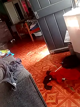 Snapshot of 2soyte chatting on September 2025 08:29:02 AM 2soyte online show from September 2025 08:29:02 AM