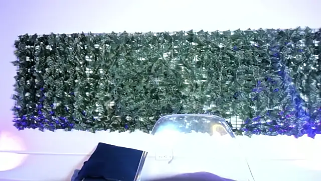 AbbyTaylorr online show from March 2026 03:20:01 AM