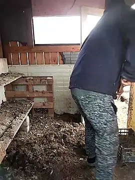 sarpe4 online show from February 2026 06:47:02 AM