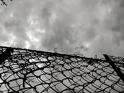 sarpe4 online show from April 2026 11:24:01 AM