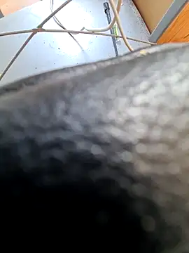 PetePro1989 online show from April 2026 12:49:01 PM