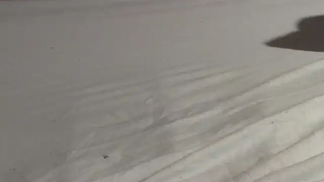 Vandrino online show from March 2025 03:07:01 AM