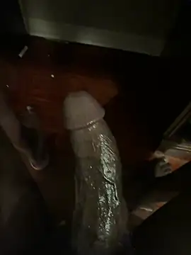 southerncomfort23 online show from February 2025 03:34:02 AM