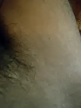 Snapshot of Samsharma1170 chatting on January 2025 03:55:02 PM Samsharma1170 online show from January 2025 03:55:02 PM