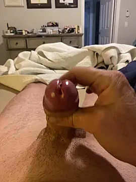 toyotagts online show from April 2026 11:40:02 PM