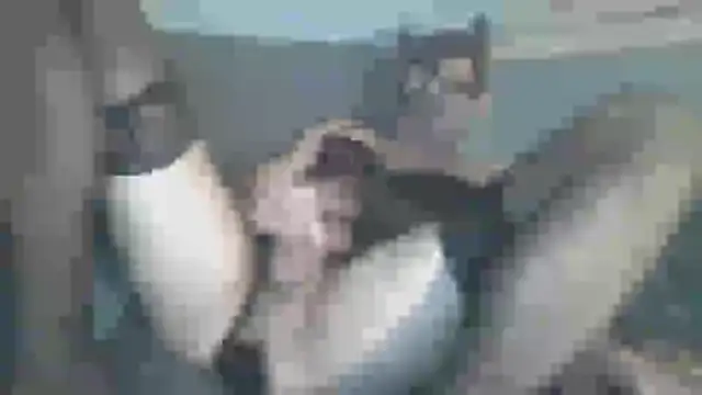 Snapshot of chceciedalsiebie chatting on February 2026 02:53:01 AM chceciedalsiebie online show from February 2026 02:53:01 AM