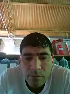 wa379 online show from February 2026 01:27:02 PM