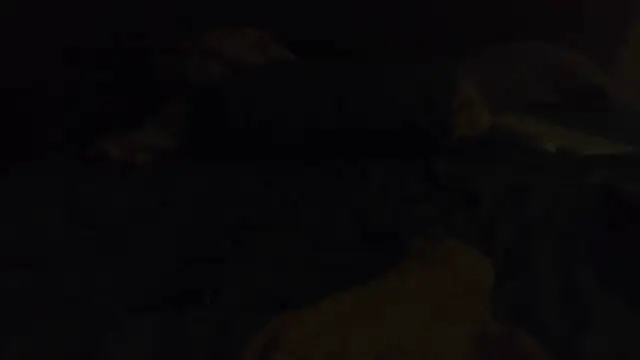 k-dong online show from April 2026 03:26:02 AM